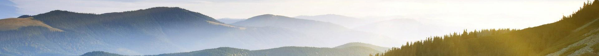 页面banner
